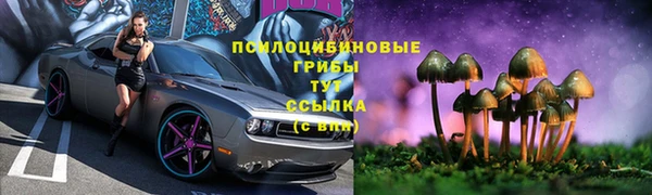 гидра Богородск