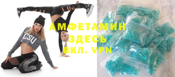 гидра Богородск