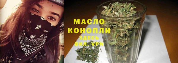 гидра Богородск