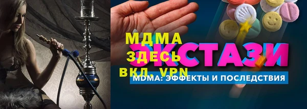 гидра Богородск