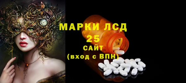 гидра Богородск