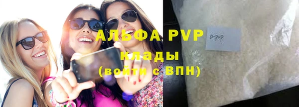 гидра Богородск
