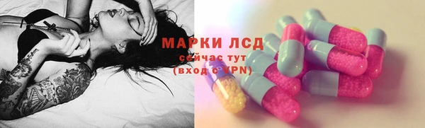 гидра Богородск
