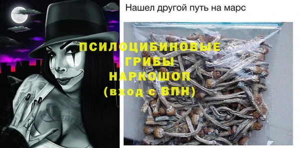 гидра Богородск