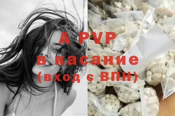 трава Богородицк