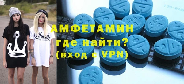 гидра Богородск