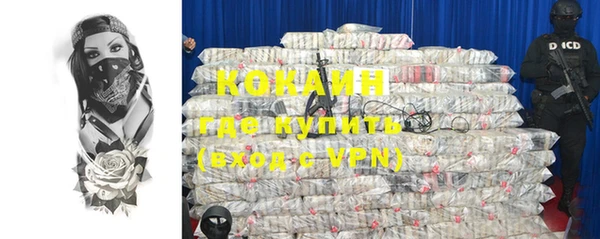 гидра Богородск