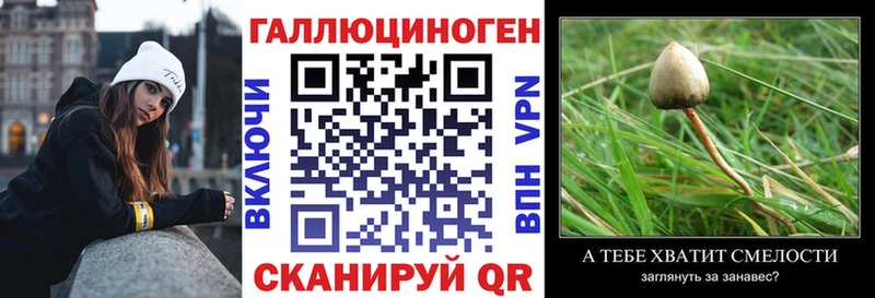 Псилоцибиновые грибы прущие грибы Губкинский